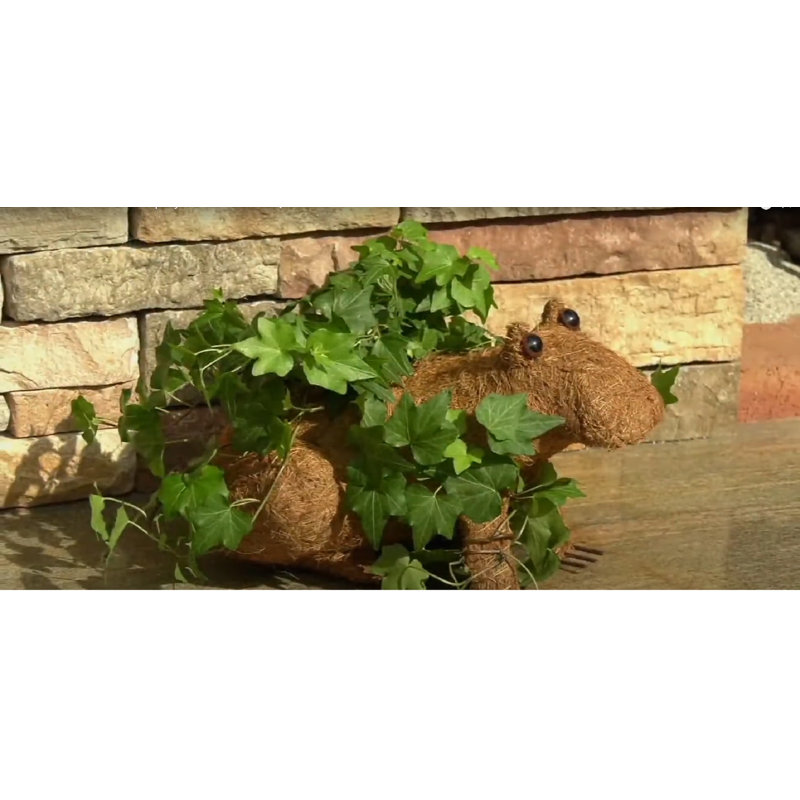 August Grove® Elsaid Animal Topiary Coco Liner Statue Planter Wayfair